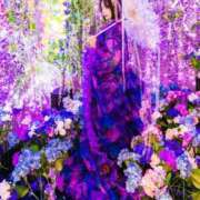 ヒメ日記 2025/08/12 12:07 投稿 ことみ Grace東京