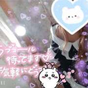ヒメ日記 2026/05/21 22:36 投稿 みこと 奥様なでしこ