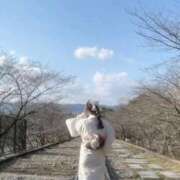 ヒメ日記 2025/09/04 12:51 投稿 好々美【ココミ】 Evolution1st キタ兎我野店