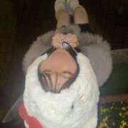 好々美【ココミ】 完売ありがとう😭✨ Evolution1st キタ兎我野店