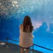 ヒメ日記 2025/08/30 10:51 投稿 好々美【ココミ】 Evolution1st ミナミ谷九店