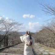 ヒメ日記 2025/09/04 12:51 投稿 好々美【ココミ】 Evolution1st ミナミ谷九店