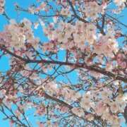ヒメ日記 2026/03/17 16:48 投稿 えみ 池袋人妻城