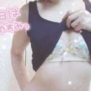 ヒメ日記 2026/03/19 13:12 投稿 えみ 池袋人妻城