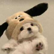 ヒメ日記 2025/08/15 08:26 投稿 りあ ビデオdeはんど　上大岡校