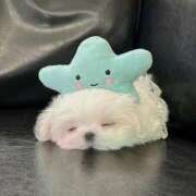 ヒメ日記 2025/08/15 22:46 投稿 りあ ビデオdeはんど　上大岡校