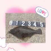 ヒメ日記 2025/10/15 07:21 投稿 采那（とな） PLUS十三店