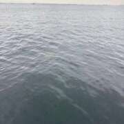 ヒメ日記 2025/10/22 20:48 投稿 采那（とな） PLUS十三店