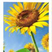 ヒメ日記 2025/10/28 07:18 投稿 采那（とな） PLUS十三店