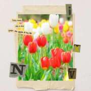 ヒメ日記 2025/11/24 17:47 投稿 采那（とな） PLUS十三店