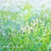 ヒメ日記 2025/12/11 07:08 投稿 采那（とな） PLUS十三店