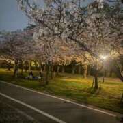 ヒメ日記 2026/04/07 00:28 投稿 采那（とな） PLUS十三店