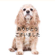 ヒメ日記 2025/08/11 22:15 投稿 西野さえこ 癒されるワイフ