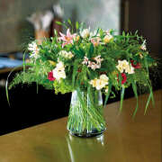 ヒメ日記 2025/08/14 15:59 投稿 西野さえこ 癒されるワイフ