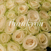 ヒメ日記 2025/09/10 22:05 投稿 西野さえこ 癒されるワイフ