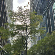 ヒメ日記 2025/10/30 20:42 投稿 西野さえこ 癒されるワイフ