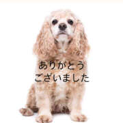 ヒメ日記 2025/08/11 22:20 投稿 西野さえこ ワイフの楽園