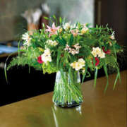 ヒメ日記 2025/08/14 16:05 投稿 西野さえこ ワイフの楽園