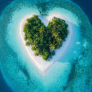 ヒメ日記 2025/09/08 08:23 投稿 西野さえこ ワイフの楽園