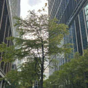 ヒメ日記 2025/10/30 20:49 投稿 西野さえこ ワイフの楽園