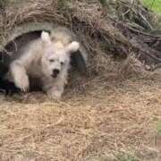 ヒメ日記 2025/08/31 22:59 投稿 にじほ サティアンまーと