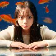 ヒメ日記 2025/11/24 15:51 投稿 りあん☆濃厚激アマ変態娘 じゃむじゃむ