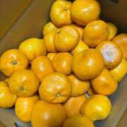 ヒメ日記 2026/02/16 21:56 投稿 マリカ★新人 人妻生レンタル-石巻-