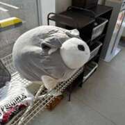 ヒメ日記 2026/03/27 16:36 投稿 マリカ★新人 人妻生レンタル-石巻-