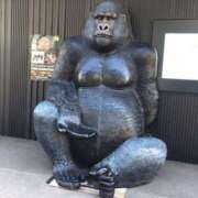 ヒメ日記 2025/09/02 19:52 投稿 真玉さゆり(またまさゆり) 五十路マダムエクスプレス厚木店(カサブランカグループ)