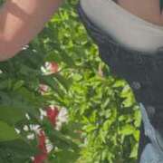 ヒメ日記 2025/09/29 19:08 投稿 みさ めっちゃスイスク梅田店