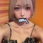 ヒメ日記 2025/08/12 12:31 投稿 ねこ 黒い金魚（札幌）