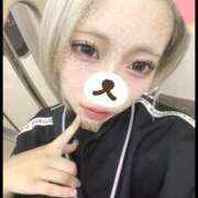 ヒメ日記 2025/08/15 09:30 投稿 ねこ 黒い金魚（札幌）