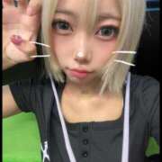 ヒメ日記 2025/08/16 09:00 投稿 ねこ 黒い金魚（札幌）