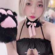 ヒメ日記 2025/08/20 13:50 投稿 ねこ 黒い金魚（札幌）