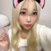 ヒメ日記 2026/01/12 02:28 投稿 ねこ 黒い金魚（札幌）