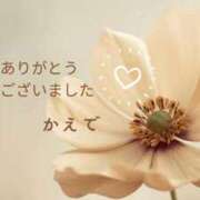 ヒメ日記 2025/10/17 15:06 投稿 かえで 沼津人妻花壇