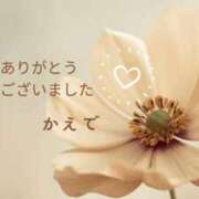 かえで ハイハイ203のお兄さん🥰 沼津人妻花壇