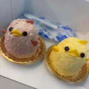 ヒメ日記 2026/03/18 19:39 投稿 ゆら ミルキーパイ