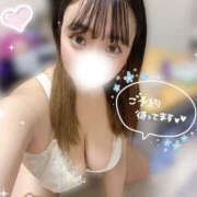 ヒメ日記 2025/09/07 10:30 投稿 めろ ぽちゃドル学園