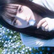 ヒメ日記 2026/04/21 01:40 投稿 後藤せいか Finemotion