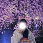 ヒメ日記 2026/04/03 11:53 投稿 新人ゆり 清楚系美女専門店PLATINUMプラチナム四日市店