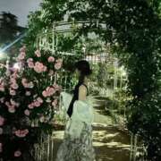 ヒメ日記 2026/06/12 22:01 投稿 新人ゆり 清楚系美女専門店PLATINUMプラチナム四日市店
