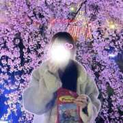 ヒメ日記 2026/08/03 09:15 投稿 新人ゆり 清楚系美女専門店PLATINUMプラチナム四日市店