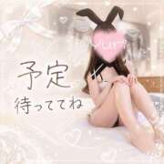 新人ゆり 見てくれると嬉しいです…💕 清楚系美女専門店PLATINUMプラチナム四日市店