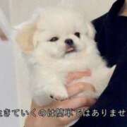 ヒメ日記 2025/08/11 11:53 投稿 ウララ ドMなバニーちゃん大宮店