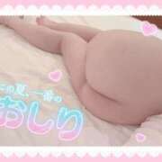 ヒメ日記 2025/08/09 20:02 投稿 ねね☆生粋の悶え美女☆ ぽちゃぶらんか甲府店(カサブランカグループ)