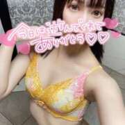 ヒメ日記 2025/08/08 03:04 投稿 いずみ 桃李（とうり）