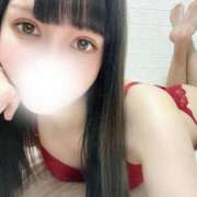 ヒメ日記 2025/11/27 06:14 投稿 いずみ 桃李（とうり）