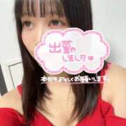 ヒメ日記 2025/12/02 10:14 投稿 いずみ 桃李（とうり）