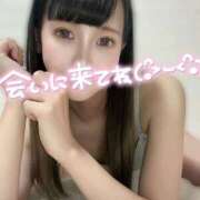 ヒメ日記 2025/12/04 09:24 投稿 いずみ 桃李（とうり）